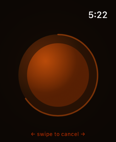 Active timer screen showing the glowing progress arc